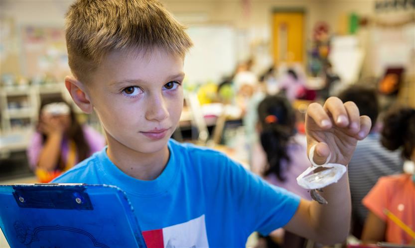 Kenrose Elementary students learn about butterflies